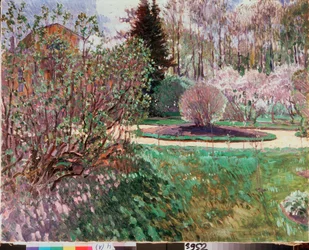 Un jardin, printemps