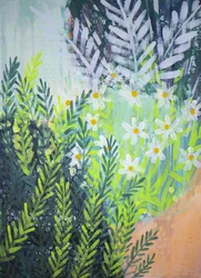 Jardin frais de marguerites