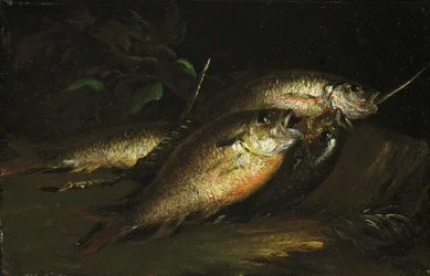 Poisson