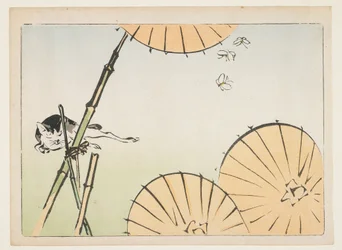Bambou, parapluies, un chat et papillons