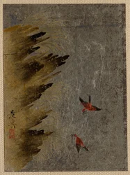 Oiseaux et rochers saillants