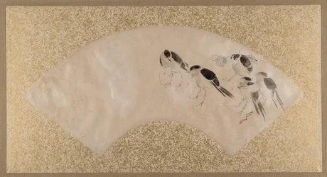 Oiseaux, fin du 19ème siècle