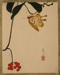 Plante aux baies rouges et papillon