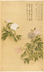 Pivoines, rouleau suspendu