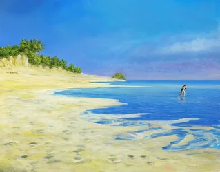 Course sur la plage
