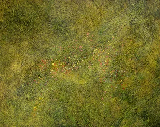 Vol de prairie