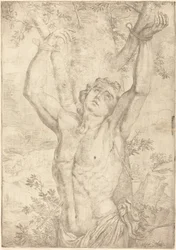 Saint Sébastien