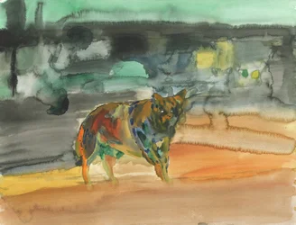 Coyote de la ville, 2019