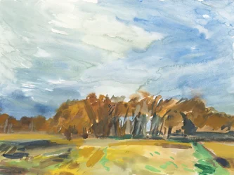 Richmond Park, 2018 (aquarelle sur papier)