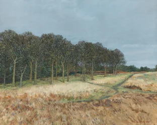 Bois, parc de Richmond, 2019 (huile sur toile)