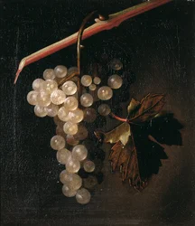 Une grappe de raisins suspendue devant un mur de pierre, 1709