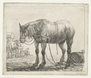 Cheval de travail au repos
