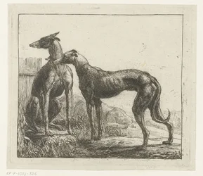 Deux lévriers