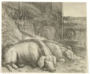 Deux cochons