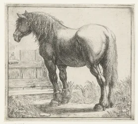 Cheval de trait près d