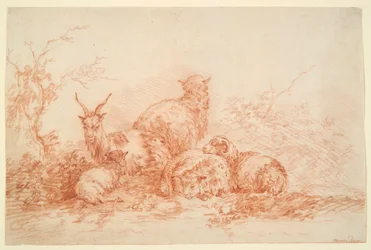 Mouton et chèvre au repos