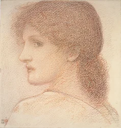 Étude de la Tête d