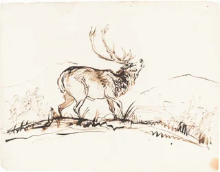 Un Cerf Bramant