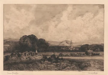Champ de maïs Ivinghoe