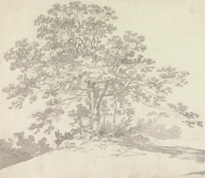Arbre