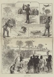 Chasse au faucon à Hendon