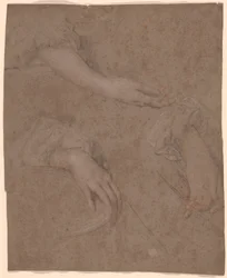 Dessins de mains