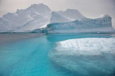 Icebergs flottant sur la péninsule antarctique, 2022 (photo)