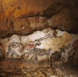 La Licorne Mythique de Lascaux peinte il y a plus de 17 000 ans sur la calcite blanche.