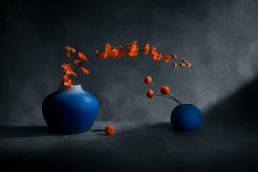 Vases bleus, fleurs orange