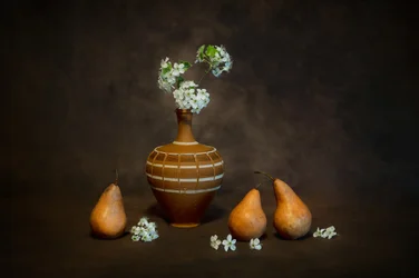 Nature morte rustique aux fleurs épanouies