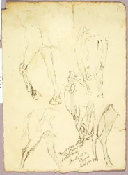 Chevaux