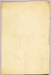 Chevaux