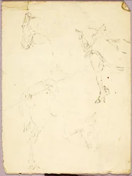 Chevaux
