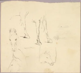 Chevaux