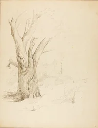 Sans titre