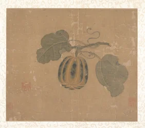 Courge (feuille d