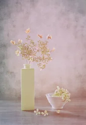 Nature morte aux couleurs pastel délicates