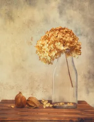 Nature morte aux hortensias séchés