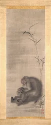 Singe toilettant sa progéniture près de bambous