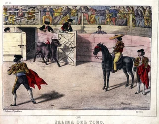 Lâcher de taureau, corrida en Espagne