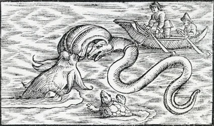 Monstres marins, 1511