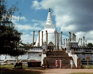 Vue du dagoba de Thuparamaya