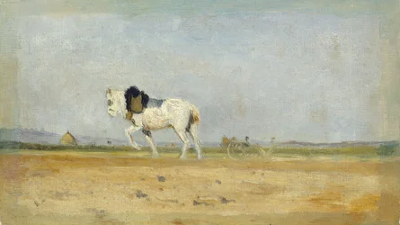 Cheval de labour dans un champ