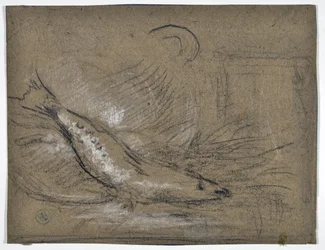 Étude de poisson