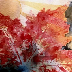 Expérience avec des feuilles - N° 4