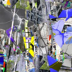 Forêt de bouleaux fragmentée