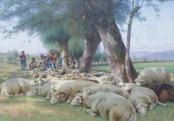 Moutons au repos, vers 1900