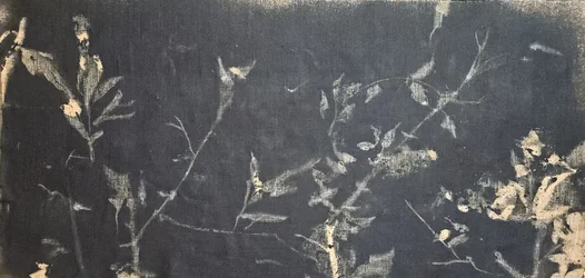 Étude botanique sombre