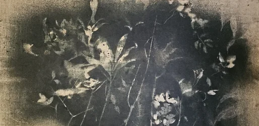 Étude botanique sombre