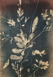 Botaniques bleus vintage